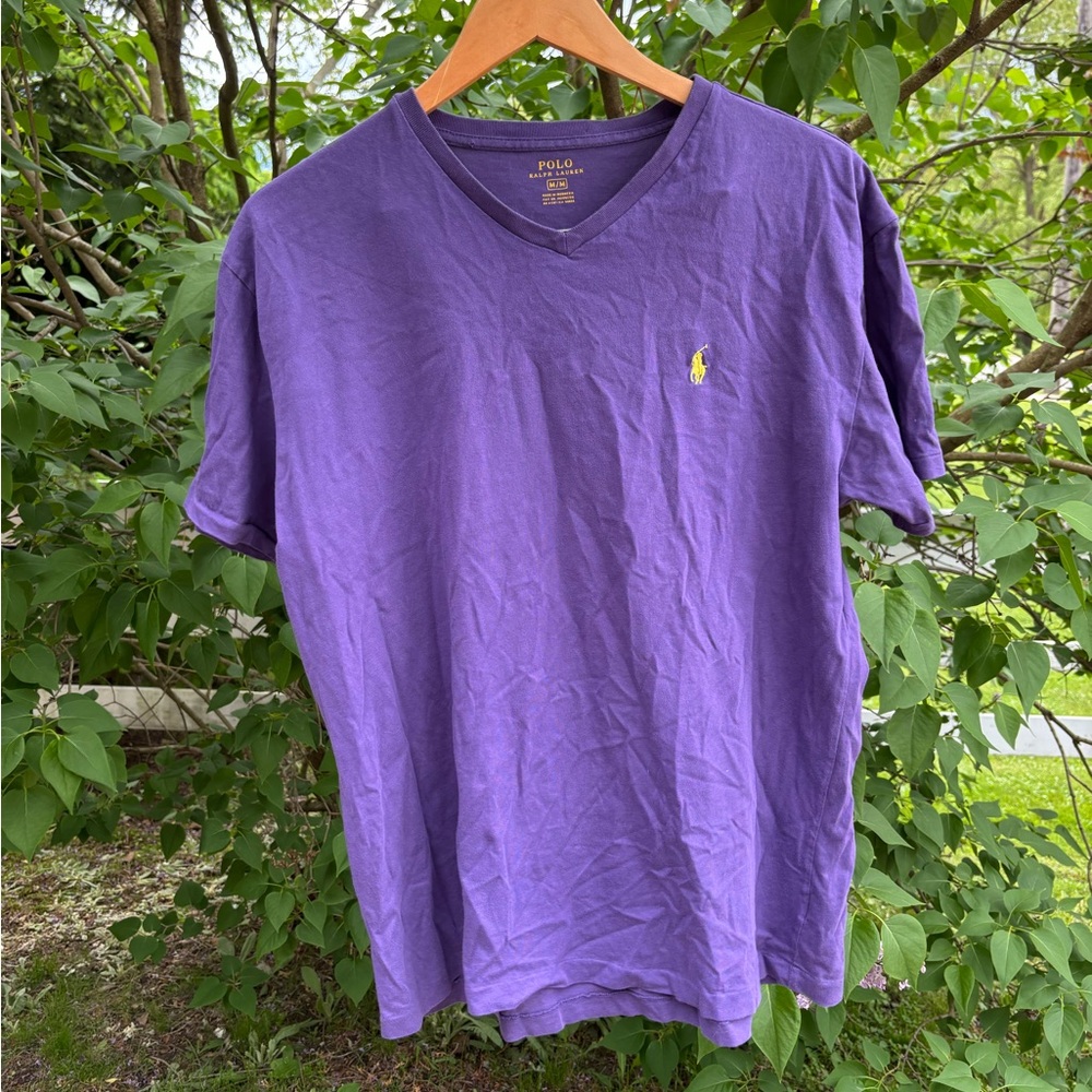 Polo by Ralph Lauren Purple Short Sleeve Tee, V neck shirt, solid colour jersey
